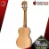 Ukulele KAKA KUC100D, KUT100D colors Natural [Free gifts] [with Set Up & QC Easy to play] [Insurance from zero] [100%authentic] [Free delivery] Turtle