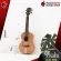 Ukulele KAKA KUC300 Natural KUC-300 [Free gift] [with SET Up & QC Easy to play] [100%authentic from zero] [Free delivery] Turtle