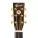 Kazuki All Soul2 NASORN GA 41 -inch GA, GA style, authentic sole wood, cedar/ rosewood, glossy coated, gold knob + free guitar case ** All Solid Guitar *