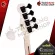 Century Dark Series Jazz Bass 4 Black White [Free gift] [with Set Up & QC Easy to play] [Free delivery] Red turtle