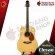 Clevan D35S, Dreadnought. The front wood is authentic wood with 10 most free gifts. Free shipping - Red turtle.