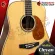 Clevan D35S, Dreadnought. The front wood is authentic wood with 10 most free gifts. Free shipping - Red turtle.