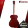 Airy guitar IBANEZ VC50NJP color Natural [Free, Fulfish Free gift] [with SET Up & QC, easy to play] [Center insurance] [100%authentic] [Free delivery] Red turtle