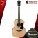 Airy guitar IBANEZ VC50NJP color Natural [Free, Fulfish Free gift] [with SET Up & QC, easy to play] [Center insurance] [100%authentic] [Free delivery] Red turtle