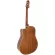 Clevan DC20E 41 -inch electric guitar, spruce/Mahogany, Nubone, using the guitar line D'Addario 4 bands, has a built -in strap.