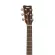 YAMAHA® FSX800C 41 -inch electric guitar, Concert shape ** Top Silid Sida Sida Sprus ** with a built -in strap + free bag