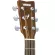 Yamaha® FSX820C กีตาร์โปร่งไฟฟ้า 40 นิ้ว ทรง Concert Cutaway 20 เฟร็ต ไม้ท็อปโซลิดสปรูซ ไม้ข้างและหลังมะฮอกกานี + แถมฟรี