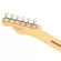 Fender® American Performer Telecaster กีตาร์ไฟฟ้า 22 เฟรต ทรง Tele ไม้อัลเดอร์ ปิ๊กอัพ Yosemite® + แถมฟรีกระเป๋า Deluxe ** Made in USA / ประกันศูนย์ 1