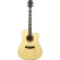 Paramount ED20 Acoustic Guitar, 41 inch acoustic guitar, Dreadnought style, concave neck, spruce/linden + free bag & cable set & pickpocket & pick