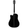 Paramount ED20 Acoustic Guitar, 41 inch acoustic guitar, Dreadnought style, concave neck, spruce/linden + free bag & cable set & pickpocket & pick