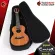 Ukulele ENYA EUCX1 color Natural - Ukulele ENYA EUC -X1 [Free gifts] [with SET Up & QC Easy to play] [100%authentic from the center] [Free delivery] Turtle