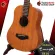 กีต้าร์โปร่ง Enya EB01 สี Natural - Acoustic Guitar Enya EB-01 [ฟรีของแถมครบชุด] [พร้อมSet Up&QCเล่นง่าย] [ประกันจากศูนย์] [แท้100%] [ส่งฟรี] เต่าแดง
