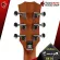 กีต้าร์โปร่ง Enya EB01 สี Natural - Acoustic Guitar Enya EB-01 [ฟรีของแถมครบชุด] [พร้อมSet Up&QCเล่นง่าย] [ประกันจากศูนย์] [แท้100%] [ส่งฟรี] เต่าแดง
