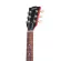 Gibson® SG Faded 2017 T กีตาร์ไฟฟ้า ท็อปเมเปิ้ล/มะฮอกกานี ทรง SG ปิ๊กอัพฮัมคู่ 490R/490T + แถมฟรีซอฟต์เคสของแท้ ** Made