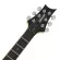 CLEVAN CF-50F, 24 Fret, Flame Maple, Body/Car, Maple Finger Board Rosewood ** Zero Insurance