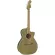Fender® NewPorter Player Plear Electric Guitar 41 inch Sol Slide/Mahogany Electric head Fender Fishman® ** Center Insurance