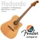Fender® Redondo Player, Year 2021, 41 -inch electric guitar, Top Sol, Slit Prues/Mahogany Pick, Fishman® ** 1 year center insurance
