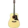 Fantasia BB2021 Blackbird, 41 inch acoustic guitar, Dreadnough shape