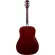 Fantasia BB2021 Blackbird, 41 inch acoustic guitar, Dreadnough shape