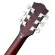 Fantasia BB2021 Blackbird, 41 inch acoustic guitar, Dreadnough shape