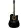 Fantasia C42, 41 inch acoustic guitar, Dreadnough style, concave neck, spruce/linden coated ** new acoustic guitar **