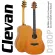 Clevan® D18 OP 41 -inch guitar D shape, Mahogany wood, both use D'Addario cables, nickel nickel