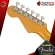 [กทม.&ปริมณฑล ส่งGrabด่วน]  กีต้าร์ไฟฟ้า Fender Kenny Wayne Shepherd Stratocaster [ฟรีของแถม] [Set Up&QC] [ประกันจากศูนย์] [แท้100%] [ส่งฟรี] เต่าแดง