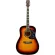 Fantasia BB2021 Blackbird 41 inch guitar, Dreadnought style, linden coating, Piwin, bird pattern card + free bag & kapok & pick