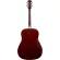 Fantasia BB2021 Blackbird 41 inch guitar, Dreadnought style, linden coating, Piwin, bird pattern card + free bag & kapok & pick