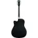 Fantasia C42 กีต้าร์โปร่ง 41 นิ้ว ทรง Dreadnought คอเว้า ไม้สปรูซ/ลินเดน เคลือบเงา ** กีตาร์โปร่งมือใหม่ ** + แถมฟรีกระเป๋า & คาโป้ & ปิ๊ก