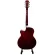 PASSION PS408C, airy guitar, 40 inches, linden, coated linden, neck coated, neck + free, free guitar bags & Pick ** new acoustic guitar **