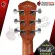 Airy guitar, electric airy, velah vgackoa, velah vgackoa b [free free gift] [with Set Up & QC easy to play] [Insurance from the center] [100%authentic] [Free delivery] Red turtle