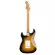 Fender® Squier® Classic VIBE 50s Strat MN Electric guitar 21 Frets Pine Pine Pickle Al Nikle Synigle Maple Wooden Coil + Free Rocking Car ** 1 year Insurance **