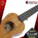 Ukulele ENYA EUC20, EU20, EUT20 EUC-20, EUS-20, EUT-20 [Free giveaway] [With SET UP & QC Easy to play] [100%authentic from zero] [Free delivery] Turtle