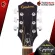 Epiphone Starling - Acoustic Guitar Epiphone Starling [Free free gift] [With Set Up & QC Easy to play] [Insurance from the center] [100%authentic] [Free delivery] Red turtle