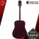 Epiphone Starling - Acoustic Guitar Epiphone Starling [Free free gift] [With Set Up & QC Easy to play] [Insurance from the center] [100%authentic] [Free delivery] Red turtle