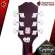 Epiphone Starling - Acoustic Guitar Epiphone Starling [Free free gift] [With Set Up & QC Easy to play] [Insurance from the center] [100%authentic] [Free delivery] Red turtle