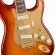 Fender® Squier 40th Anniversary Stratocaster Gold Edition กีตาร์ไฟฟ้า 21 เฟรต ทรง Strat ไม้เอ็นยาโต้ ปิ๊กอัพ Fender® แบบ SSS ** ประกันศูนย์ 1 ปี **