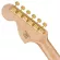 Fender® Squier 40th Anniversary Stratocaster Gold Edition กีตาร์ไฟฟ้า 21 เฟรต ทรง Strat ไม้เอ็นยาโต้ ปิ๊กอัพ Fender® แบบ SSS ** ประกันศูนย์ 1 ปี **
