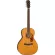 Fender® PS-220E Parlor Electric Guitar Real wood, both the picker, Fender/Fishman®, shadow coated + free hard case ** 1 year insurance **