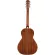 Fender® PS-220E Parlor Electric Guitar Real wood, both the picker, Fender/Fishman®, shadow coated + free hard case ** 1 year insurance **