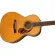 Fender® PS-220E Parlor Electric Guitar Real wood, both the picker, Fender/Fishman®, shadow coated + free hard case ** 1 year insurance **