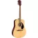 Fender® FA-125 Acoustic Guitar, 41 inch acoustic guitar, Dreadnought shape, varnish, shadow + free guitar bag & tuner & kapo & pick & wrench