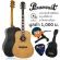 Paramount S450, Airy Guitar 41 "D shape, Top Sol, Cedar, Cedar/Rose Wood, shadow coating