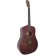 Paramount CD70M 41 -inch guitar, D shape, Top Sol, Mahogy/Mahogany Shadow coating for the whole body + free bag & Kapo & Pick