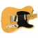 Fender® Squier® Classic VIBE 50s Tele MN Electric Guitar 21 Frets Tele Pine Pine Pickle Al Nikle Maple Maple