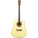 Fantasia C42 กีต้าร์โปร่ง 41 นิ้ว ทรง Dreadnought คอเว้า ไม้สปรูซ/ลินเดน เคลือบเงา ** กีตาร์โปร่งมือใหม่ ** + แถมฟรีกระเ