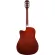 Fantasia C42 กีต้าร์โปร่ง 41 นิ้ว ทรง Dreadnought คอเว้า ไม้สปรูซ/ลินเดน เคลือบเงา ** กีตาร์โปร่งมือใหม่ ** + แถมฟรีกระเ