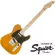 Fender® กีตาร์ไฟฟ้า ทรง Tele คอไม้เมเปิ้ล รุ่น Squier Affinity Telecaster ** ประกันศูนย์ 1 ปี **