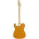 Fender® กีตาร์ไฟฟ้า ทรง Tele คอไม้เมเปิ้ล รุ่น Squier Affinity Telecaster ** ประกันศูนย์ 1 ปี **